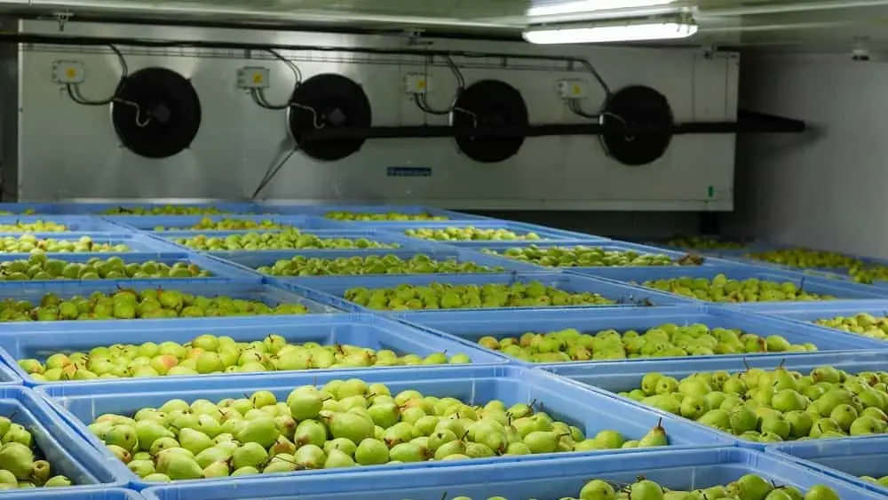 Cold Rooms & Ice Block Machines