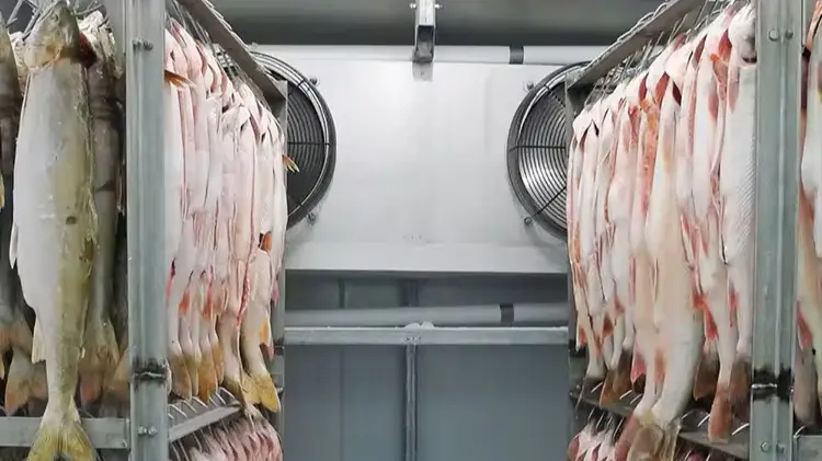 Freezer Rooms